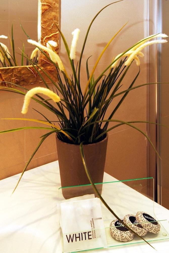 Hotel Argentina Roma Dış mekan fotoğraf